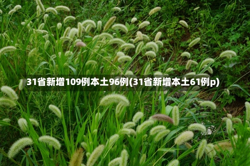 31省新增109例本土96例(31省新增本土61例p)-第1张图片-建明新闻