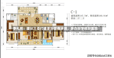 李礼辉：建议三亚打造更好营商环境，多办好学校好医院-第1张图片-建明新闻