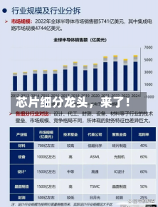 芯片细分龙头，来了！-第3张图片-建明新闻