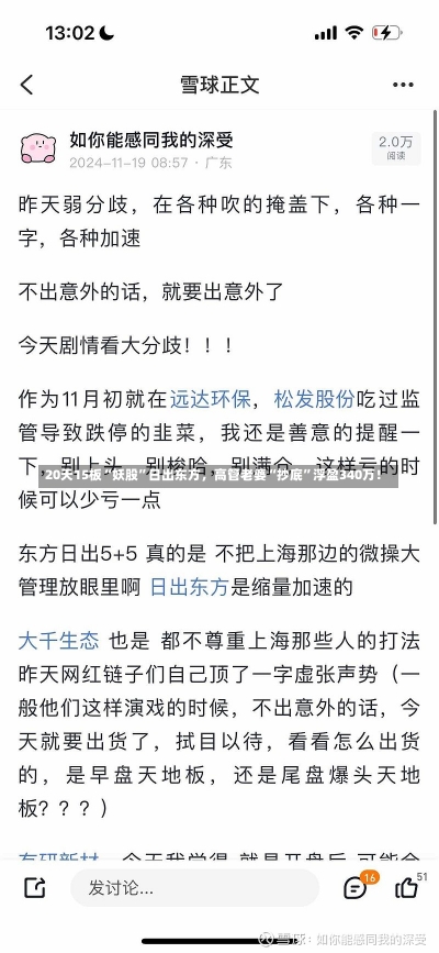 20天15板“妖股”日出东方，高管老婆“抄底”浮盈340万！-第1张图片-建明新闻