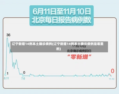 辽宁新增14例本土确诊病例(辽宁新增14例本土确诊病例是哪里的)-第2张图片-建明新闻