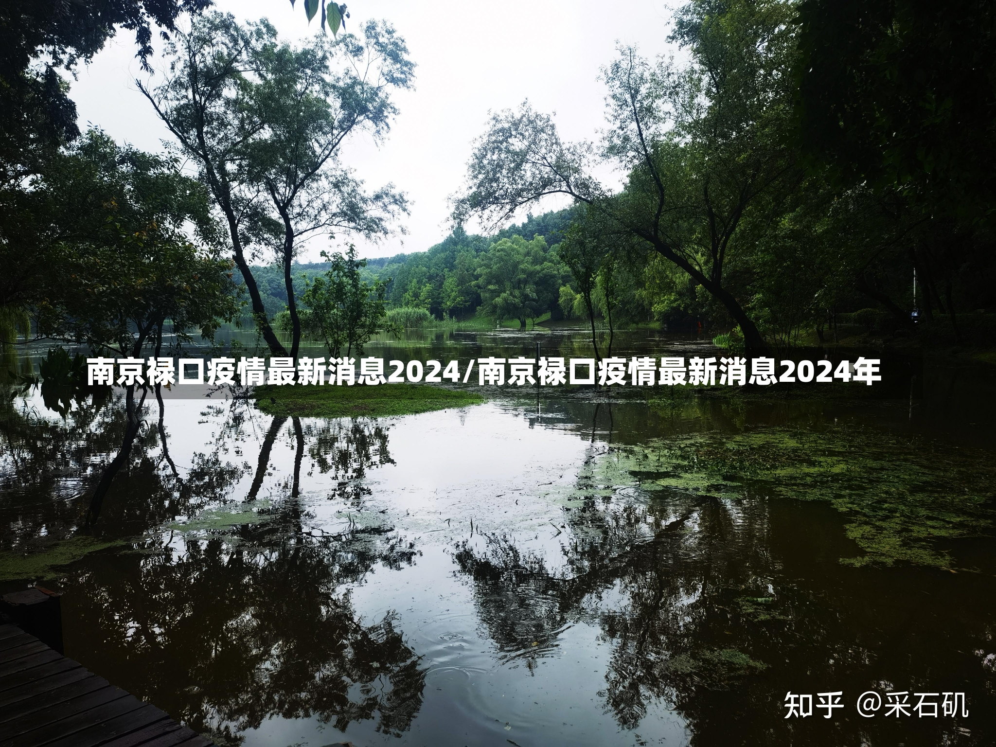 南京禄口疫情最新消息2024/南京禄口疫情最新消息2024年-第2张图片-建明新闻