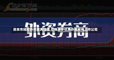 资本市场对外开放再提速 引导更多优质外资投向上市公司-第2张图片-建明新闻