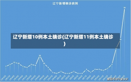 辽宁新增10例本土确诊(辽宁新增11例本土确诊)-第1张图片-建明新闻