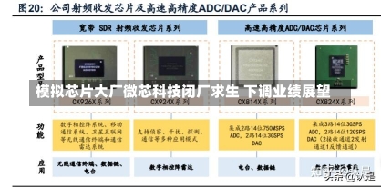 模拟芯片大厂微芯科技闭厂求生 下调业绩展望-第2张图片-建明新闻