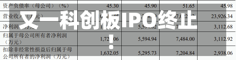 又一科创板IPO终止！-第2张图片-建明新闻