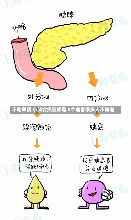 不吃早餐 小肠会疯狂吸脂 6个危害很多人不知道-第1张图片-建明新闻