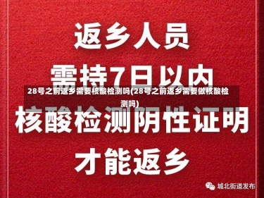 28号之前返乡需要核酸检测吗(28号之前返乡需要做核酸检测吗)-第3张图片-建明新闻