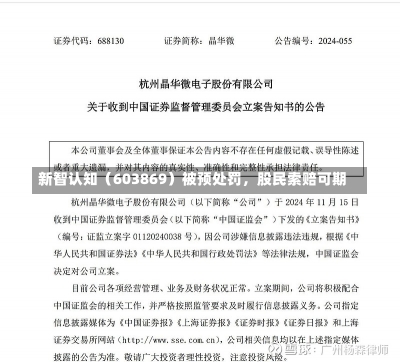 新智认知（603869）被预处罚，股民索赔可期-第1张图片-建明新闻