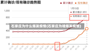 石家庄为什么爆发疫情(石家庄为啥爆发疫情)-第3张图片-建明新闻