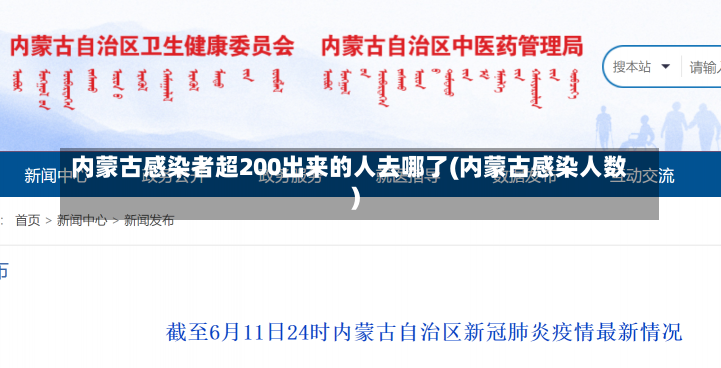 内蒙古感染者超200出来的人去哪了(内蒙古感染人数)-第2张图片-建明新闻