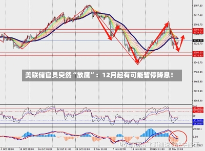 美联储官员突然“放鹰”：12月起有可能暂停降息！-第2张图片-建明新闻