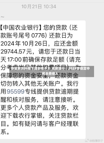 存量房贷利率下调影响不大 无锡银行：2025年稳定中间业务收入-第3张图片-建明新闻