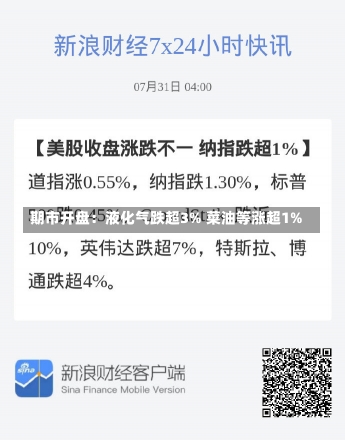 期市开盘：液化气跌超3% 菜油等涨超1%-第3张图片-建明新闻