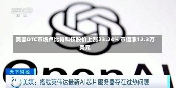 美国OTC市场卢比肯科技股价上涨23.24% 市值涨12.3万美元-第2张图片-建明新闻