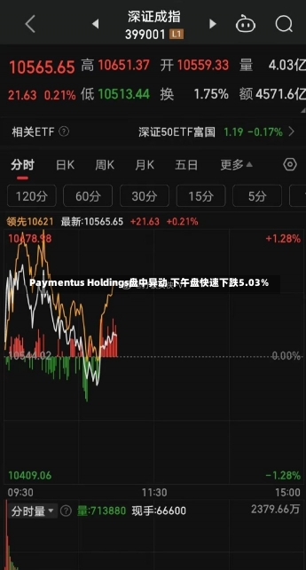 Paymentus Holdings盘中异动 下午盘快速下跌5.03%-第1张图片-建明新闻