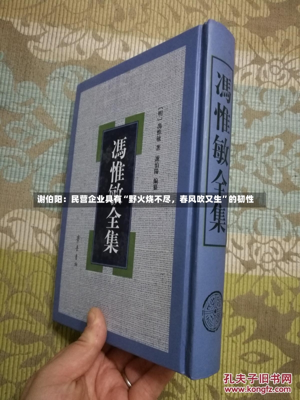 谢伯阳：民营企业具有“野火烧不尽，春风吹又生”的韧性-第1张图片-建明新闻