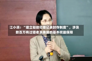 江小涓：“建立轻微犯罪记录封存制度”，涉及数百万有过错者及亲属的基本权益保障-第1张图片-建明新闻