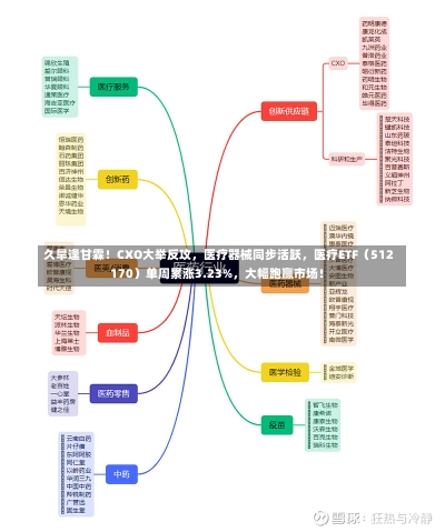 久旱逢甘霖！CXO大举反攻，医疗器械同步活跃，医疗ETF（512170）单周累涨3.23%，大幅跑赢市场！-第3张图片-建明新闻