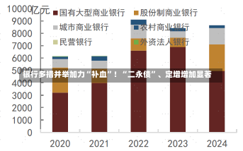 银行多措并举加力“补血”！“二永债”、定增增加显著-第1张图片-建明新闻