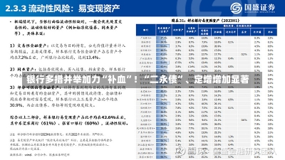 银行多措并举加力“补血”！“二永债”、定增增加显著-第2张图片-建明新闻