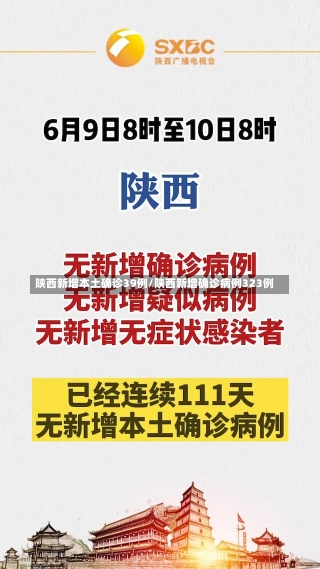 陕西新增本土确诊39例/陕西新增确诊病例323例-第3张图片-建明新闻