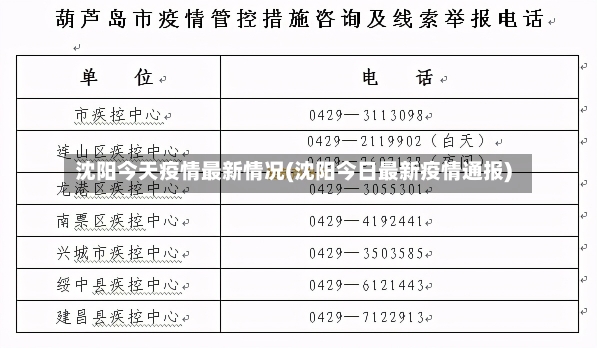 沈阳今天疫情最新情况(沈阳今日最新疫情通报)-第2张图片-建明新闻