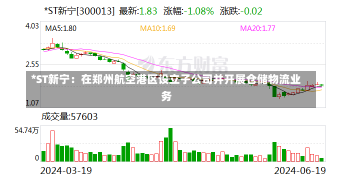 *ST新宁：在郑州航空港区设立子公司并开展仓储物流业务-第1张图片-建明新闻