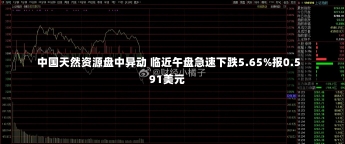 中国天然资源盘中异动 临近午盘急速下跌5.65%报0.591美元-第2张图片-建明新闻