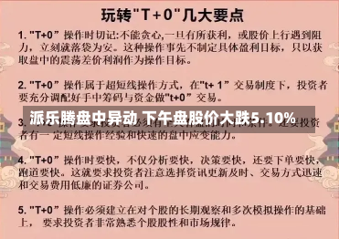 派乐腾盘中异动 下午盘股价大跌5.10%-第1张图片-建明新闻