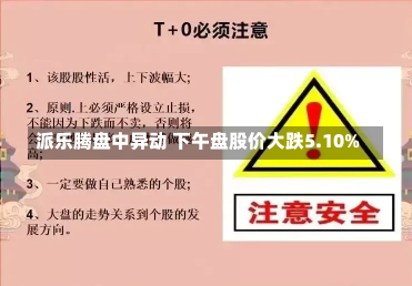 派乐腾盘中异动 下午盘股价大跌5.10%-第2张图片-建明新闻