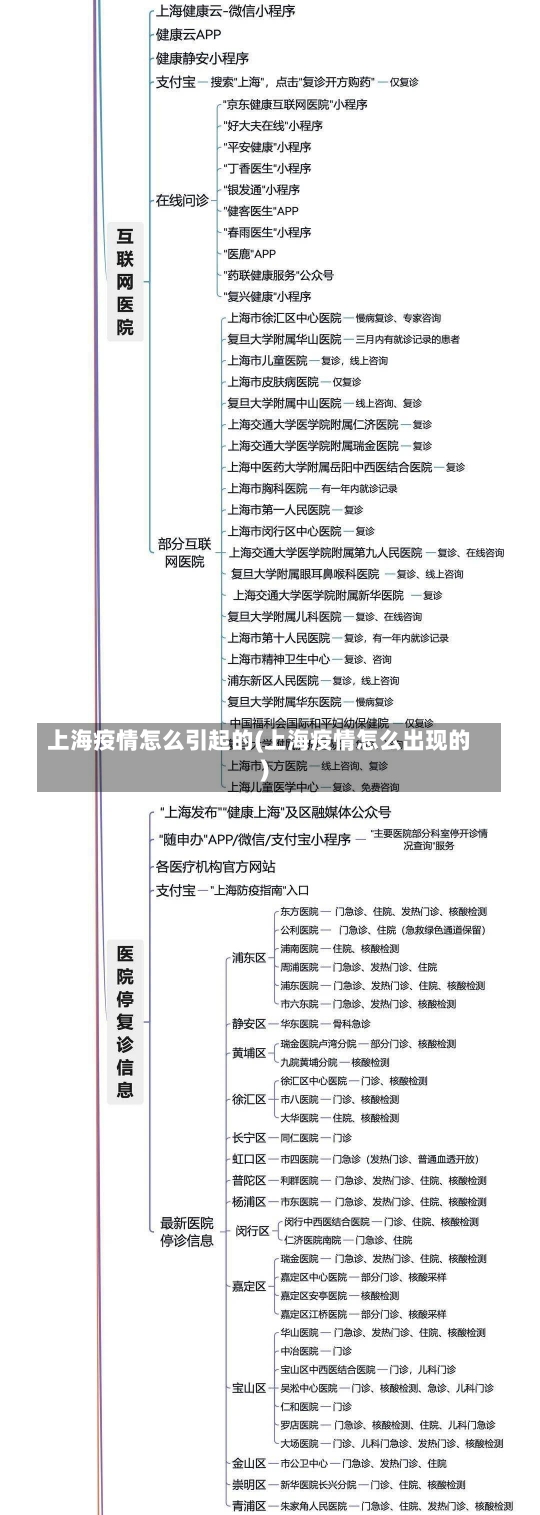 上海疫情怎么引起的(上海疫情怎么出现的)-第1张图片-建明新闻