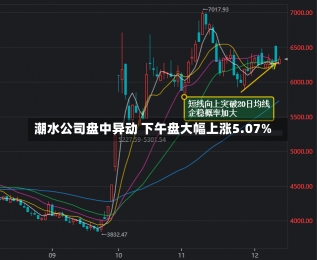 潮水公司盘中异动 下午盘大幅上涨5.07%-第1张图片-建明新闻