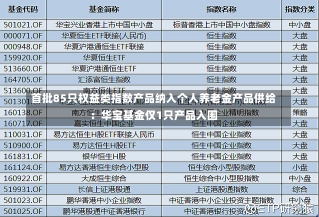 首批85只权益类指数产品纳入个人养老金产品供给：华宝基金仅1只产品入围-第3张图片-建明新闻