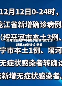 黑龙江新增28例确诊病例/黑龙江新增28例确诊 新闻-第1张图片-建明新闻