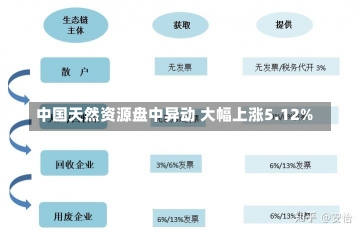 中国天然资源盘中异动 大幅上涨5.12%-第1张图片-建明新闻