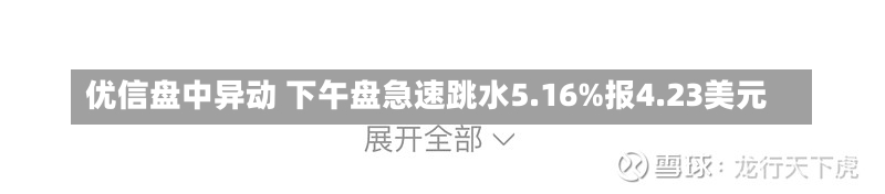 优信盘中异动 下午盘急速跳水5.16%报4.23美元-第2张图片-建明新闻