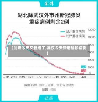 【武汉今天又新增了,武汉今天新增确诊病例】-第2张图片-建明新闻