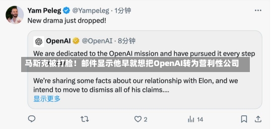 马斯克被打脸！邮件显示他早就想把OpenAI转为营利性公司-第1张图片-建明新闻