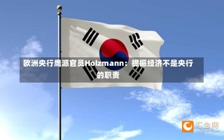 欧洲央行鹰派官员Holzmann：提振经济不是央行的职责-第2张图片-建明新闻