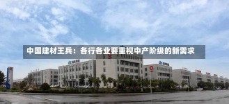 中国建材王兵：各行各业要重视中产阶级的新需求-第1张图片-建明新闻