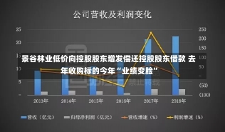 景谷林业低价向控股股东增发偿还控股股东借款 去年收购标的今年“业绩变脸”-第2张图片-建明新闻