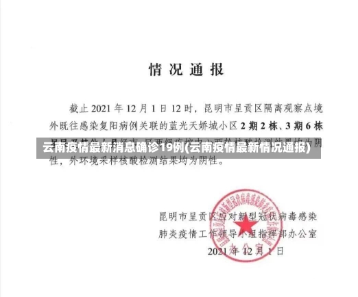 云南疫情最新消息确诊19例(云南疫情最新情况通报)-第2张图片-建明新闻