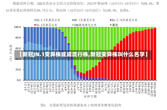 【新冠JN.1变异株或成流行株,新冠变异株叫什么名字】-第2张图片-建明新闻