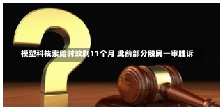 模塑科技索赔时效剩11个月 此前部分股民一审胜诉-第3张图片-建明新闻