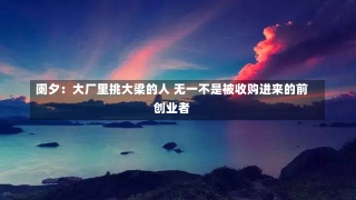 阑夕：大厂里挑大梁的人 无一不是被收购进来的前创业者-第2张图片-建明新闻