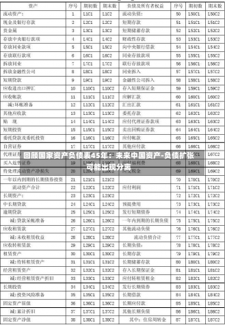 回顾国家资产负债表45年：未来中国资产-负债扩张可能出现分离-第1张图片-建明新闻