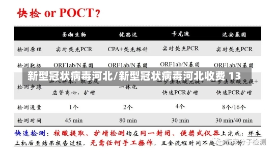 新型冠状病毒河北/新型冠状病毒河北收费 13-第2张图片-建明新闻