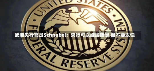 欧洲央行官员Schnabel：央行可以继续降息 但不要太快-第2张图片-建明新闻