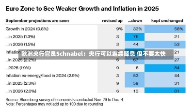 欧洲央行官员Schnabel：央行可以继续降息 但不要太快-第1张图片-建明新闻